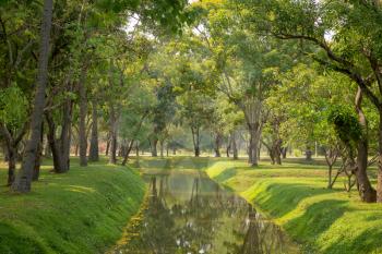 Tree Garden in the Sukhothai historical Park, Sukhothai province. Thailand
