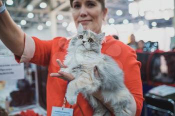 MOSCOW MARCH 6 2019 Unidentified member of the exhibition shows his cat at international exhibition of cats Catsburg in the exhibition hall Crocus-Expo, Moscow