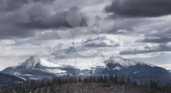 Forest destroyed in South Tyrol, northern Italy. Here's what remained after that the extreme weather damaged the forest around in the night of October 29th 2018. View of the peaks of the Dolomites