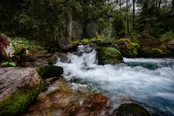 Mountain stream in High Tatras National Park, Poland. fast river flows in a coniferous forest among mossy stones.