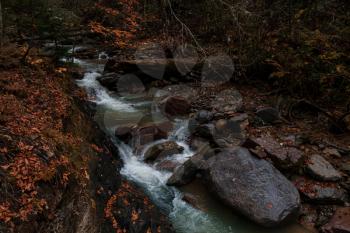 River deep in mountain forest. Nature composition. Mendelich River in the North Caucasus, Rosa Khutor, Russia, Sochi. Autumn forest, fog and rain