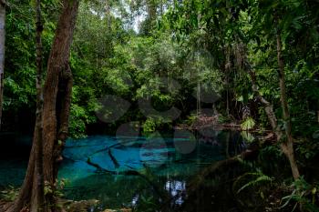 Blue or emerald pool in National park Sa Morakot, Krabi, Thailand. Fantastic blue lake in the middle of the rain forest.