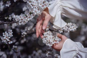 female hands among blossom cherry tree brunch in spring garden, beauty, summer, emotion, expression and people concept.