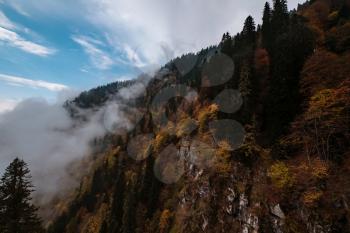 The mountain autumn landscape with colorful forest and high peaks Caucasus Mountains. Rosa Khutor ski resort in off-season, Russia, Sochi. Mountain Clouds Dance