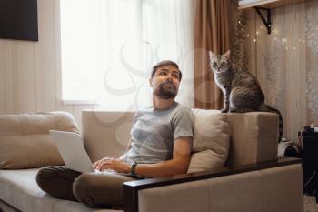 Bearded businessman sits in sofa and uses laptop, next sits gray cat. Man working, blogging.