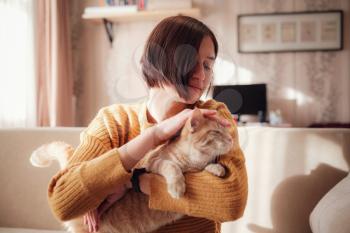 Young asian woman resting with pet in sofa at home in sunny. Beautiful ginger tabby cat. Animals and lifestyle concept.