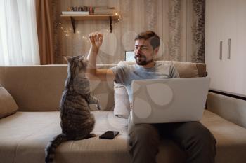 Young attractive smiling guy is browsing at his laptop, sitting at home on the cozy beige sofa at home, wearing casual outfit with his pet - gray cute cat