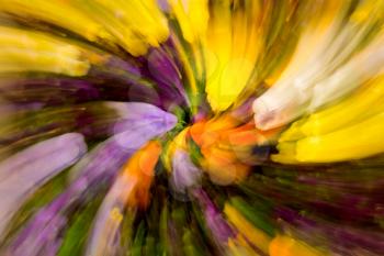 Background abstract image of flower blossoms with swirling zoom pattern