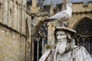 Sea gull or bird perched on top of the cap of the statue of Elizabethan scholar in front of ornate stained glass windows of church