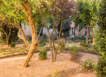 Warm sunlight in an old spanish traditional garden with orange trees and well in courtyard