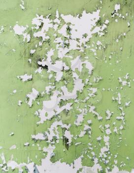 Green and white paint peeling off old wall and could be used to illustrate lead problems with homes and buildings