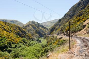 Railway track of Taieri Gorge tourist railway curves through the gorse on its journey up the valley
