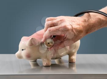 Senior male doctor or vet checking the condition of a large pink piggy bank to illustrate savings or retirement