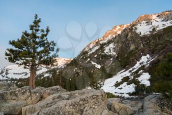 Sun hits the tops of Sierra Nevada mountains at sunrise with a lone fir tree on rocks by Lake Tahoe