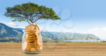 Large tree growing out of a glass savings jar full of pure gold coins to illustrate investment planning