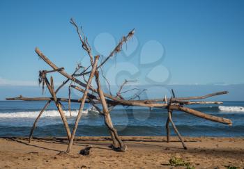 Driftwood structure on Hanalei beach with a surfer visible behind wood