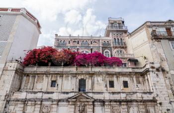 Flowering bush on the balcony of the Chafariz d' el Rei palace in Alfama district of Lisbon
