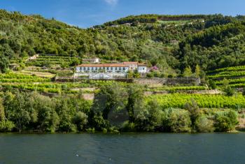 Whitewashed old Quinta or vineyard building on the banks of the River Douro in Portugal