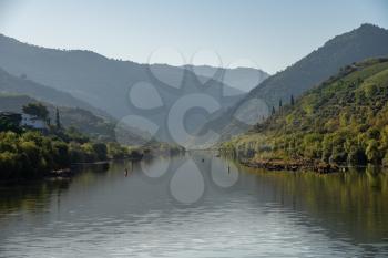 River Douro flowing through narrow gorge with terraces of wines and vineyards on the banks in Portugal near Pinhao