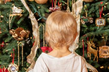 Rear view of a young caucasian baby boy staring at the magic of an Xmas tree for the first time in wonder