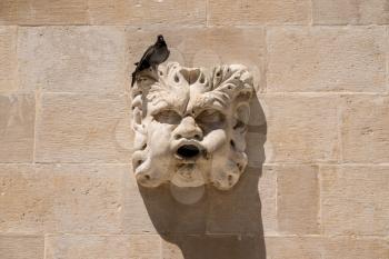 Pigeon sitting on carved face of rainwater spout in the old town of Dubrovnik in Croatia