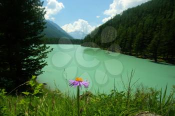 Beautiful mountain landscape near the lake. Mountain Lake. Kind of mountainous terrain and the water in the valley.