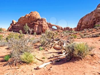 Nature National Park, Utah. The landscape and rocks. Roads and propinki Park, Utah.