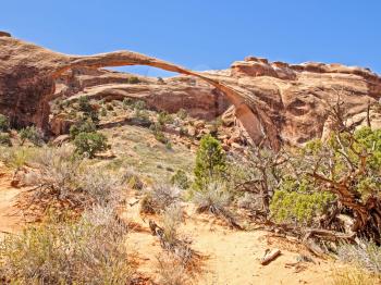 Nature National Park, Utah. The landscape and rocks. Roads and propinki Park, Utah.