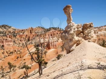 The Bryce Canyon National Park, Utah, United States