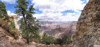 The Grand Canyon. Views of the canyon, the landscape and nature.