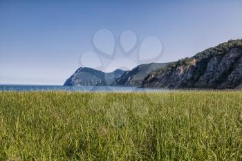 Flora of Kamchatka. Forests and fields. Nature of Kamchatka. Landscapes and magnificent views of the Kamchatka Peninsula.