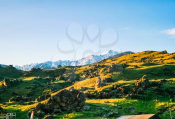 Mountain landscape with grass in the hills. Mountain landscape. Mountain vegetation.