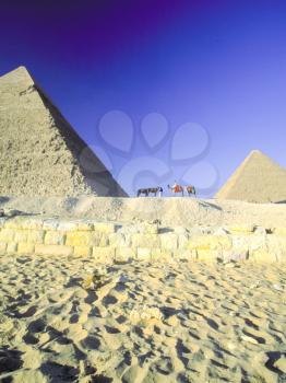 Attractions of Egypt. pyramids, camels and ruins. Big pyramids of Egypt. Photos from a trip.