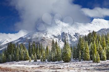 Landscape with snowy mountains and forest, Colorado, USA