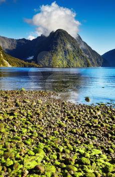 Milford Sound, South Island, New Zealand