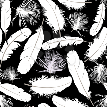 Feather seamless background. farm birds element pattern