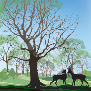 Spring landscape with two deers. Abstract vector illustration of spring forest. Spring nature background. 