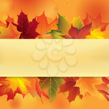 Autumn frame with leaves. Fall maple leaf background with copy space.