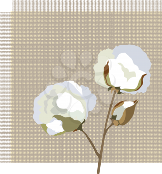 Cotton fabric icon with cotton flower. Nature floral background