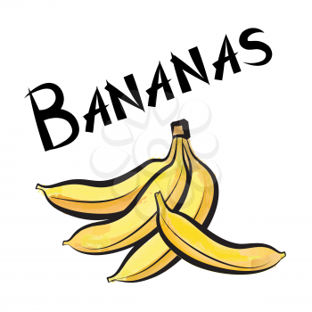 Bananas. Exotic fruit banana label. Hand drawn watercolor set. vector collection.