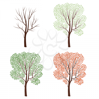 Four seasons nature concept. Tree silhouette isolated set. Plant with and without leaves. Nature wildlife design element over white background. Winter, spring, summer, fall trees collection