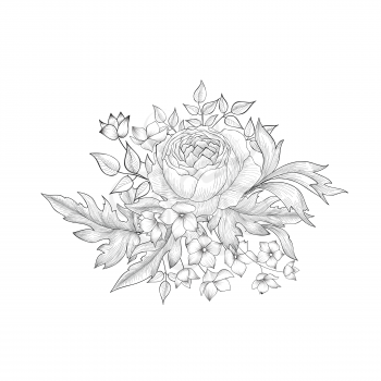 Flower bouquet isolated. Floral sketch background. Hand drawn engraving greeting card