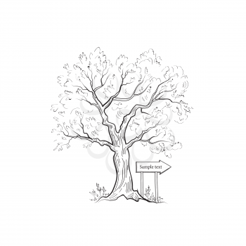 Tree with arrow sign. Summer nature landscape sketch. Hand drawn vector