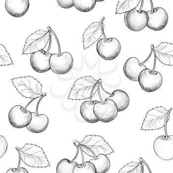 Fresh cherry seamless pattern. Summer berry food sketch background