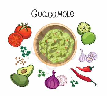 Avocado Guacamole recipe Ingredients. Vegetable and spices for cook Guacamole - tomato, avocado, lime, garlic, pepper, beagle, coriander, salad. mexican cook book vector illustration