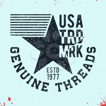 T-shirt print design. Usa star vintage stamp. Printing and badge applique label t-shirts, jeans, casual wear. Vector illustration.