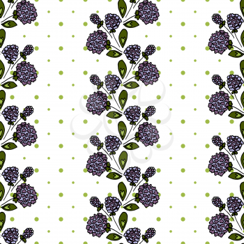 Floral seamless pattern. Lilac inflorescence. Clover. Stripes of flowers on a white background. Background in polka dots
