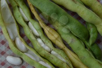 Beans. Phaseolus. Bean Seeds. Legumes. Kitchen. Tablecloth. Before cooking. Delicious. It is useful. Close-up. Horizontal