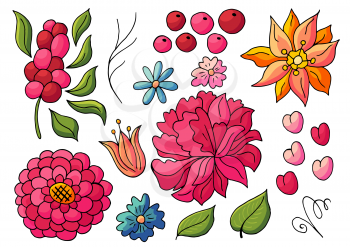 Collection of vector floral elements. Flowers and leaves in hand draw style. Elements for your design. Peonies and berries