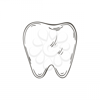 Contour Medical icon. Vector illustration in hand draw style. Image isolated on white background. Medical instrument. Healthy tooth